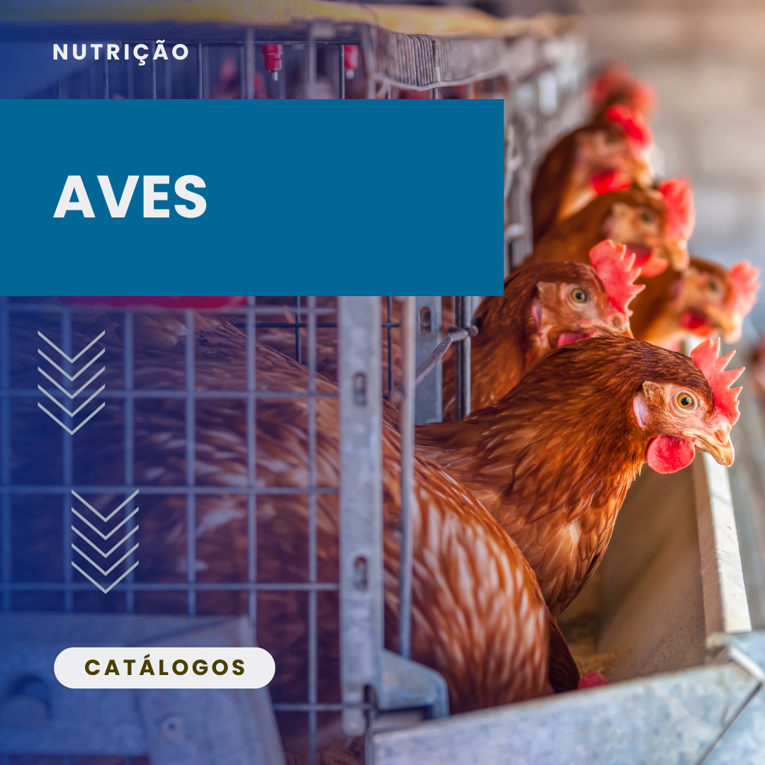 Aves
