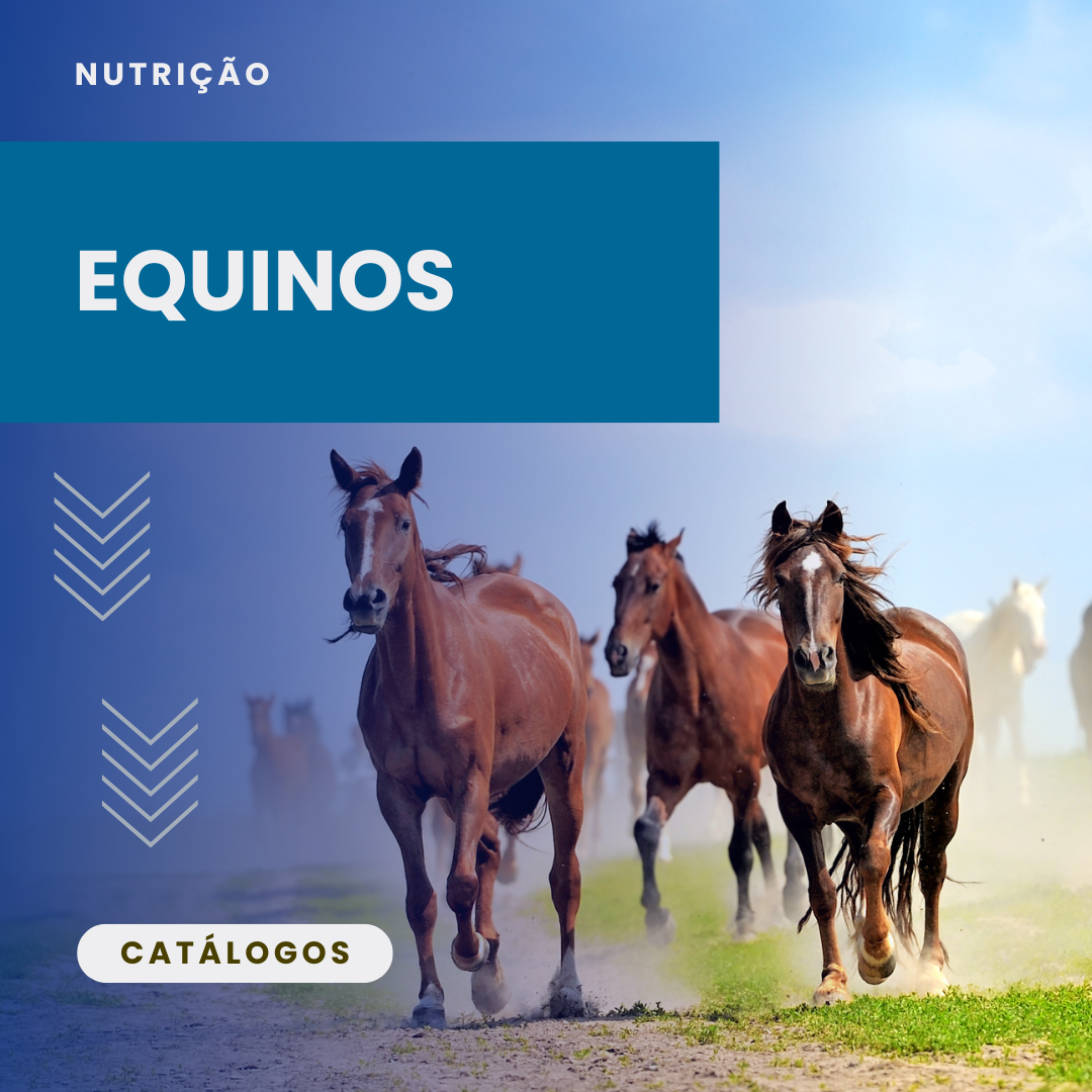 Equinos