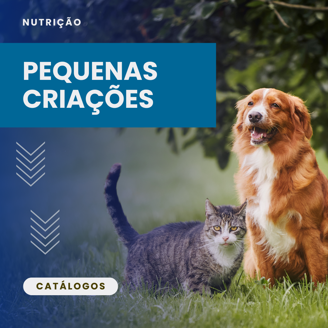 Pequenas Criações